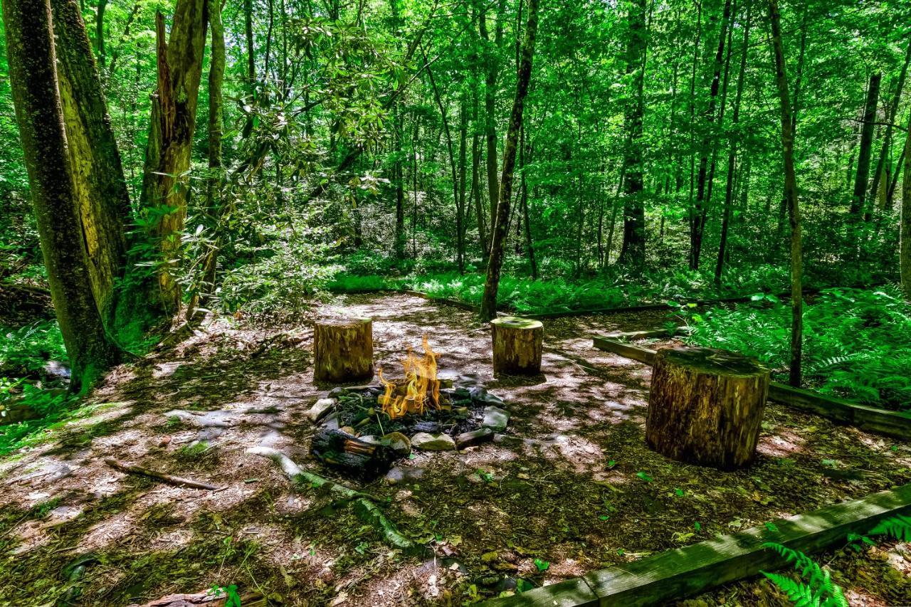 Villa Lucilles Creekside Hideaway à Blue Ridge Extérieur photo